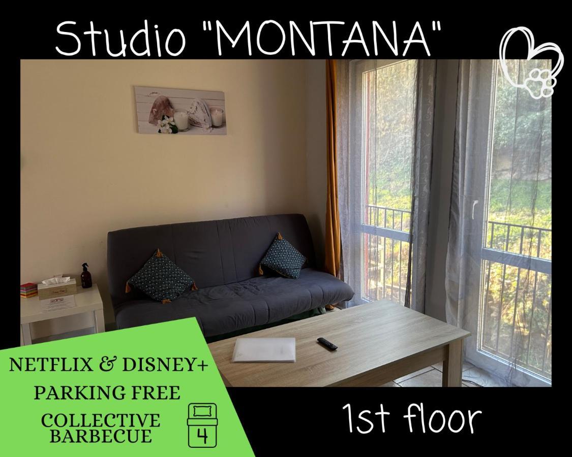 L'Arizona Dinant - Studio Montana - Barbecue, Free Parking, Dog Ok Esterno foto